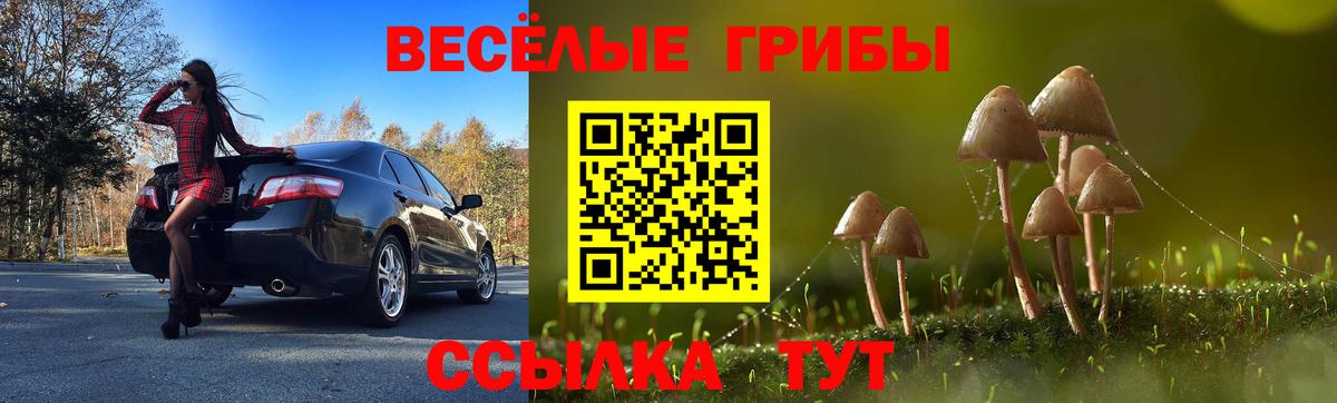 Галлюциногенные грибы мухоморы  Вход с VPN  закладка  Малоярославец 